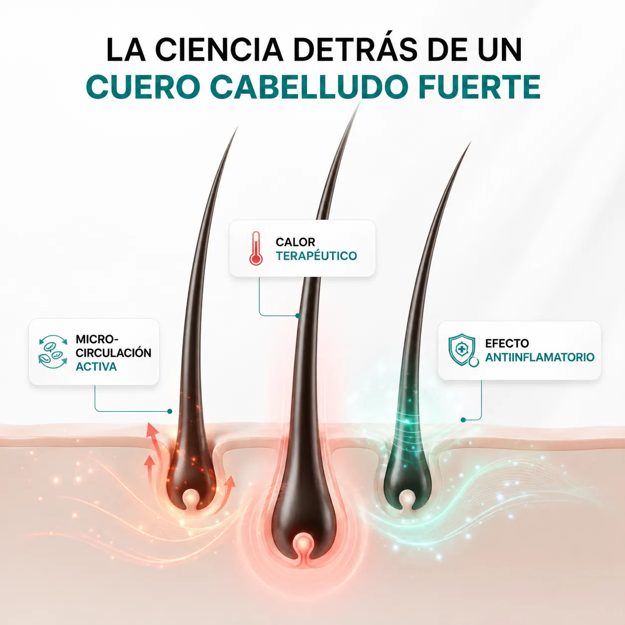 CapilRoot Pro - Recupera tu cabello con tecnología clínica, en solo 8 minutos al día
